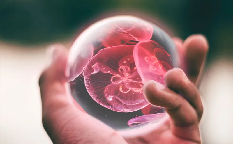 Bola de cristal sostenida en la mano